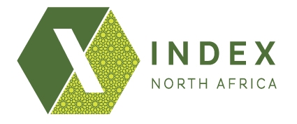 INDEX NORTH AFRICA