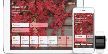 Omar Kbiri, architecte néerlandais, a trouvé une solution ingénieuse pour résoudre le problème de la garde de la maison en cas de divorce