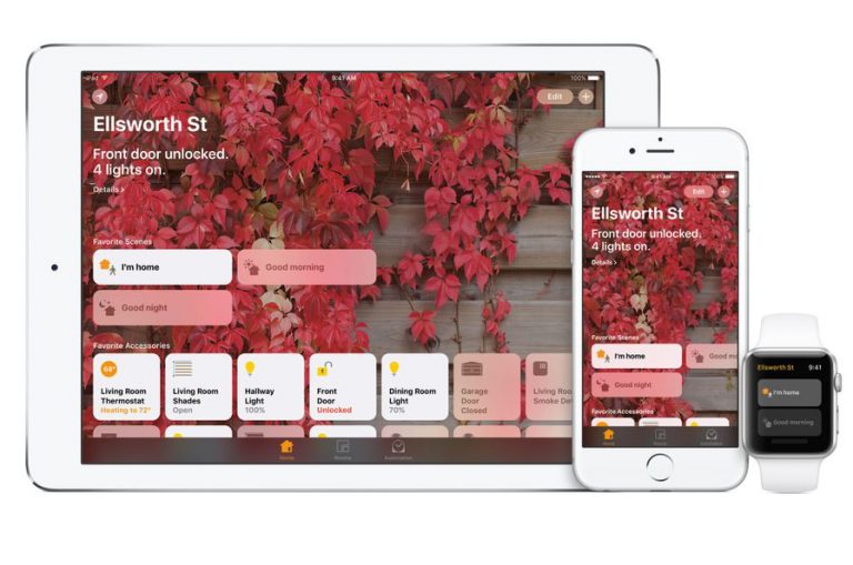Omar Kbiri, architecte néerlandais, a trouvé une solution ingénieuse pour résoudre le problème de la garde de la maison en cas de divorce