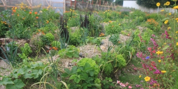 permaculture