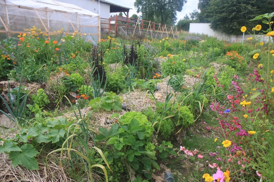 permaculture
