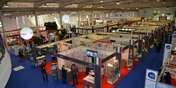 TheBig5_NorthAfrica