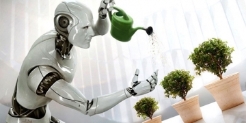 plantes et robotique