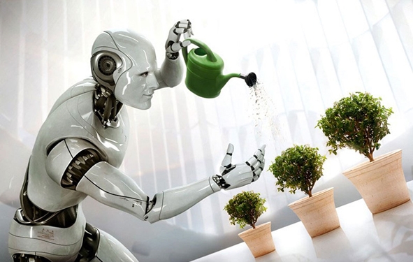 plantes et robotique