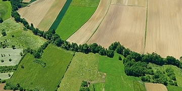 processus écologiques