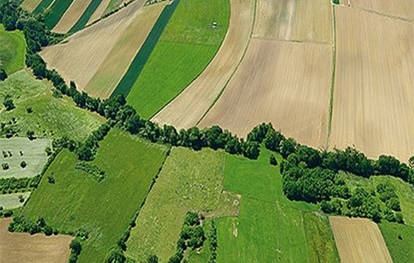 processus écologiques