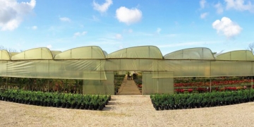 Horti Plantes had soualem une decennie de croissance