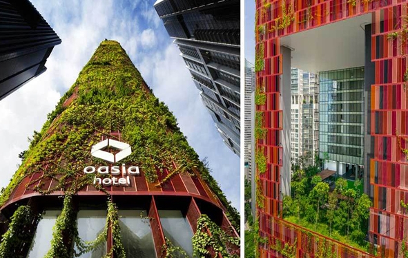 singapour, hotel envahit par la vegetation