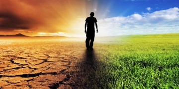 les maires des grandes villes s’activent pour l'environnement