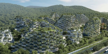 villes foret en chine pour combattre la pollution de l'air