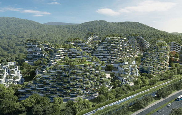 villes foret en chine pour combattre la pollution de l'air