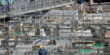 Tokyo : excès au travail conduit au suicide