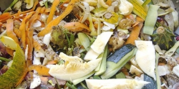 déchets organiques