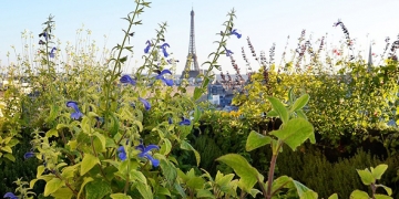 potagers urbains à paris