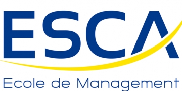 Design Management
