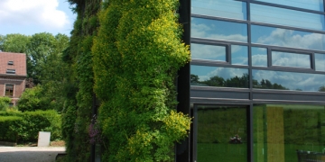 jardin vertical à Bruxelles