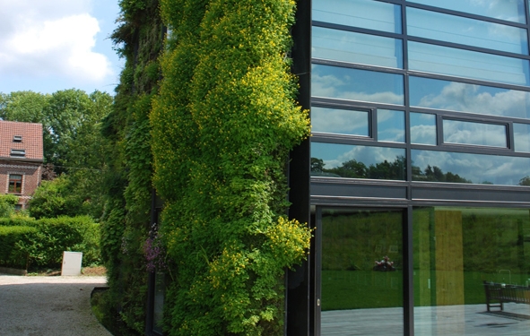 jardin vertical à Bruxelles