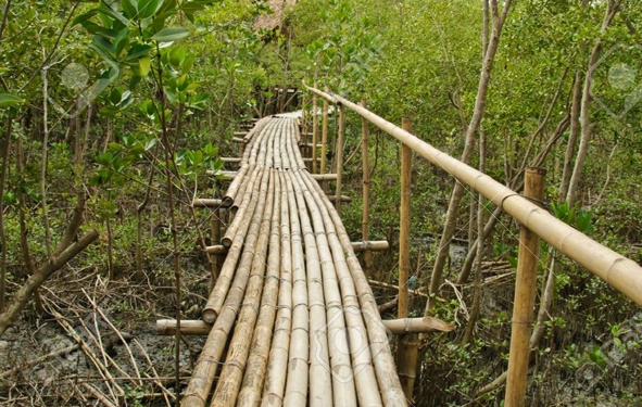 Thaïlande