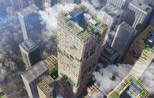 tour en bois au Japon