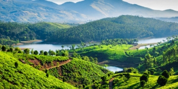 zéro carbone en Inde