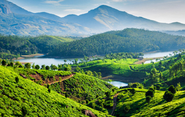 zéro carbone en Inde