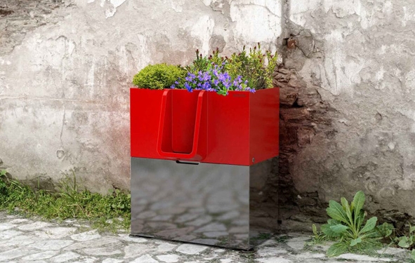 urine fait pousser les plantes