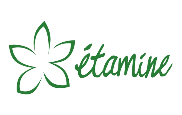 Les Toitures végétalisées