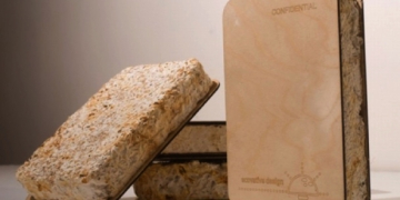 des champignons pour isolation