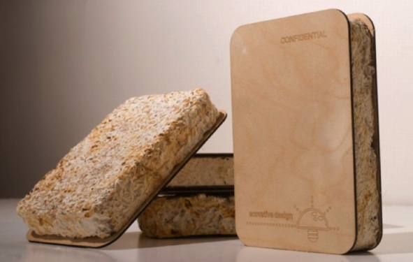 des champignons pour isolation