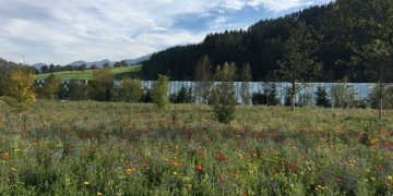 DGNB pour les bâtiments et parcelles neutres en carbone