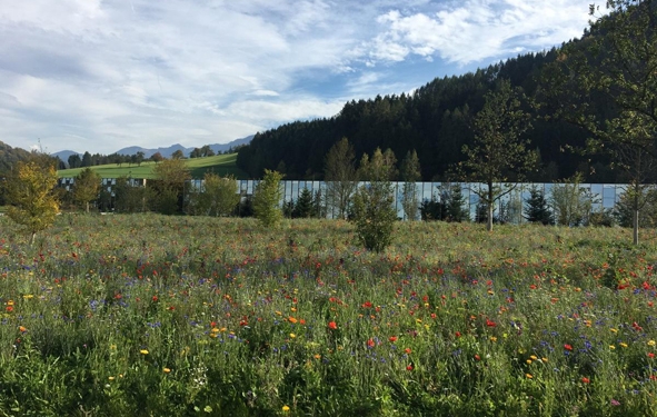 DGNB pour les bâtiments et parcelles neutres en carbone