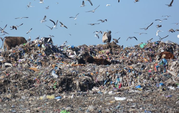 décharge de Médiouna