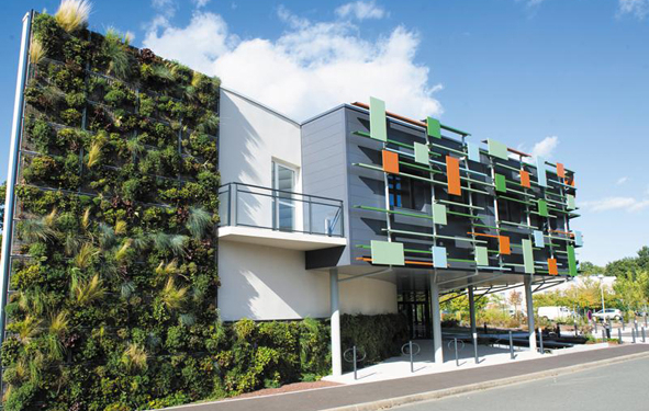 végétalisation des toits et façades