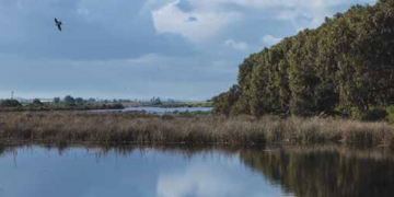 Oussama Abaouss : biodiversité en milieu urbain