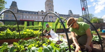 Agriculture urbaine & économie circulaire