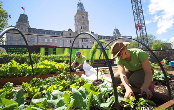 Agriculture urbaine & économie circulaire