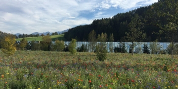 bâtiments neutres en carbone