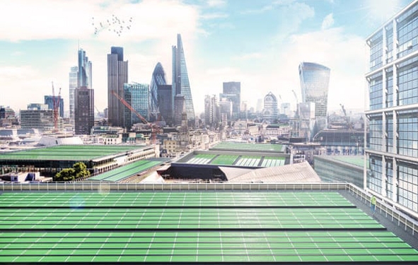 procédé biosolaire