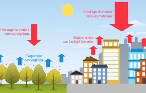 application pour les lieux de fraicheur