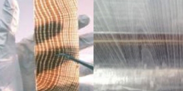 bois transparent en Suède