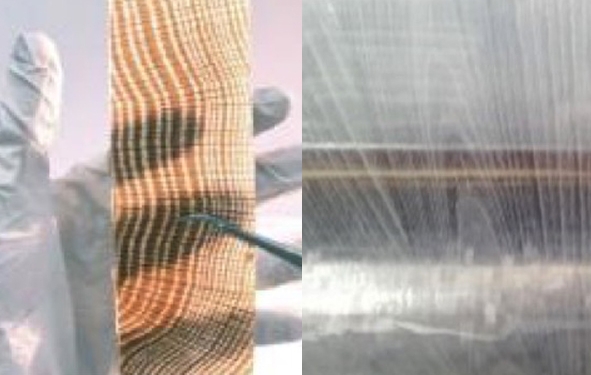 bois transparent en Suède