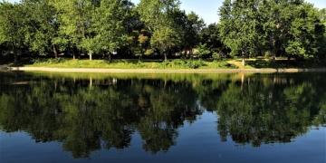 Grand Parc de l'Ouest à Montreal
