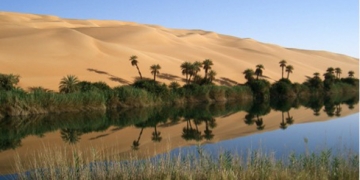 Mauritanie :  une oasis photovoltaïque