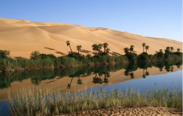 Mauritanie :  une oasis photovoltaïque
