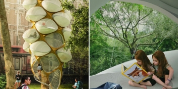 Au cœur des villes des “ arbres à sieste ” vont voir le jour