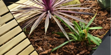 Le jardin au cœur des tendances, des maisons et de la société