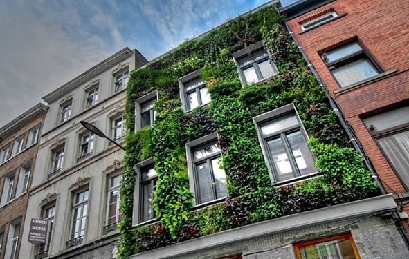 Végétalisation des immeubles : Bruxelles donne l’exemple