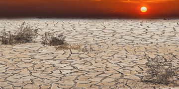 réchauffement climatique