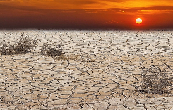 réchauffement climatique
