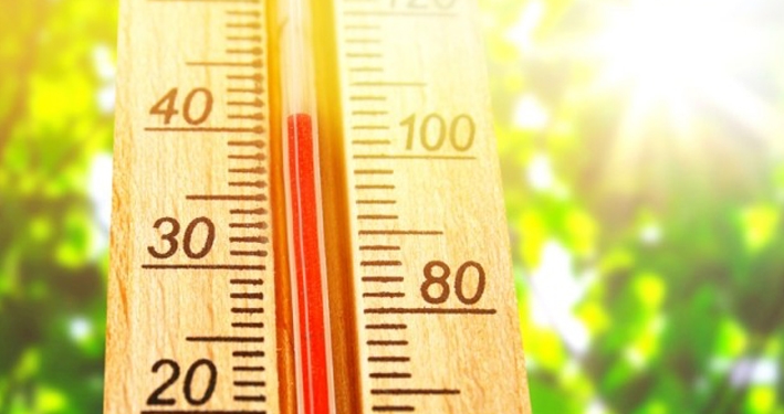 Canicule : comment adapter votre logement ?